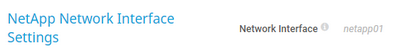 NetApp Network Interface Settings NetApp Network Interface Settings